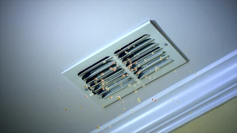 Best Air Duct Cleaning Company Near Me  in Cottonwood, AZ