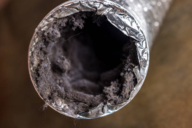 Best Home Air Vent Cleaning  in Cottonwood, AZ