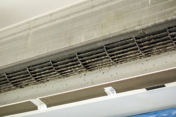 Best Commercial Air Duct Cleaning  in Cottonwood, AZ